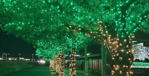 イルミライ_INZAI